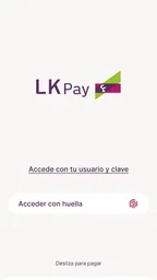 LK-Pay 1