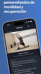 GOWOD – Programas de Movilidad 2