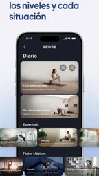 GOWOD – Programas de Movilidad 4