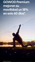 GOWOD – Programas de Movilidad 6