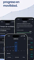 GOWOD – Programas de Movilidad 7