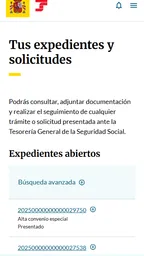 Importass Seguridad Social 3