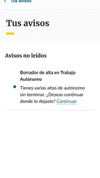 Importass Seguridad Social 8