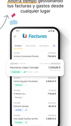 TS Facturas (antes Billin) 6