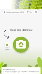 PlantNet Identifica Plantas 1