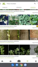 PlantNet Identifica Plantas 7