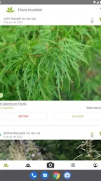 PlantNet Identifica Plantas 8
