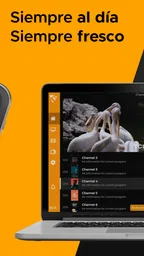 MaxPlayer ™ 2