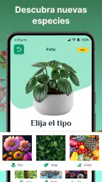AI Reconocer Plantas Español 3