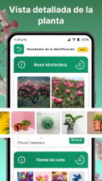 AI Reconocer Plantas Español 4