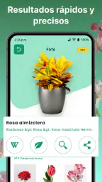 AI Reconocer Plantas Español 5