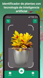 AI Reconocer Plantas Español 7