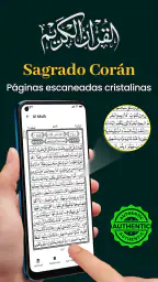 Al Quran Kareem 16 Lines Quran 8