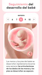 amma: calendario de embarazo 1