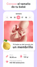 amma: calendario de embarazo 4