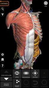Anatomía - Atlas 3D screenshot
