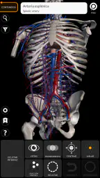 Anatomía - Atlas 3D 2