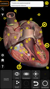 Anatomía - Atlas 3D screenshot