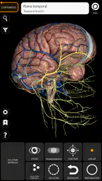 Anatomía - Atlas 3D 4