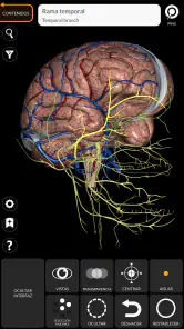 Anatomía - Atlas 3D screenshot