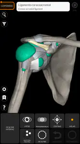 Anatomía - Atlas 3D screenshot