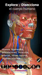 Anatomy Learning - Anatomía 3D 1
