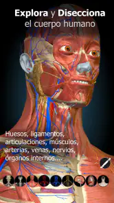 Anatomy Learning - Anatomía 3D screenshot