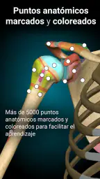 Anatomy Learning - Anatomía 3D 3