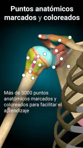 Anatomy Learning - Anatomía 3D screenshot
