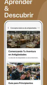 AntiqSnap: Id. de antigüedades screenshot