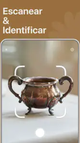 AntiqSnap: Id. de antigüedades screenshot
