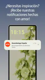 ARTE TV 4