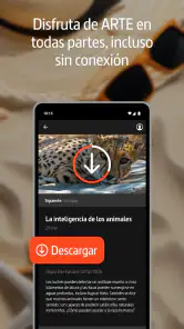 ARTE TV screenshot