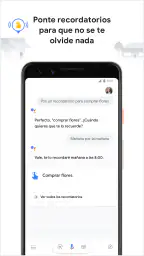 Asistente de Google 7