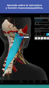 Atlas de anatomía humana 2026 screenshot