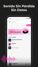 Audio Insight - Offline Music 2