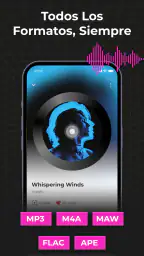 Audio Insight - Offline Music 3
