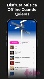 Audio Insight - Offline Music 6