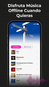 Audio Insight - Offline Music screenshot