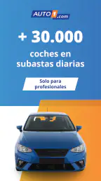 AUTO1.com – Subastas B2B 1