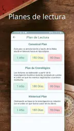 Biblia de Estudio Reina Valera 6