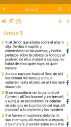 Biblia Nueva Traducción 8