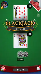 Blackjack 21 Casino Card Game 7