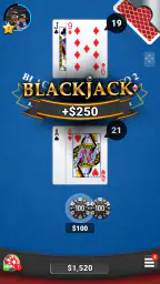Blackjack 21 Casino Card Game 8