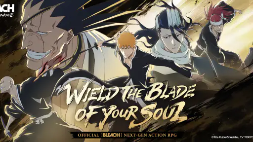 BLEACH: Soul Resonance 8