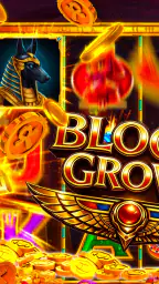Bloom Grove 2