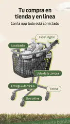 bonÀrea fan 4
