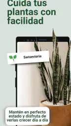 Broticola - Identifica plantas 1