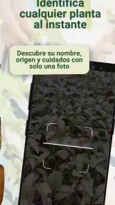 Broticola - Identifica plantas screenshot