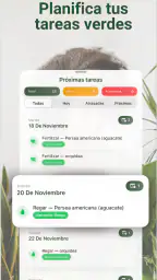 Broticola - Identifica plantas 4